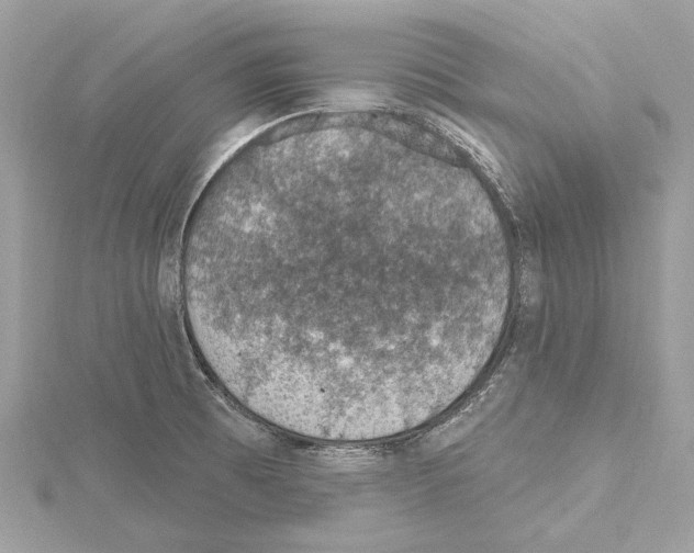 X0000115401473200912011154