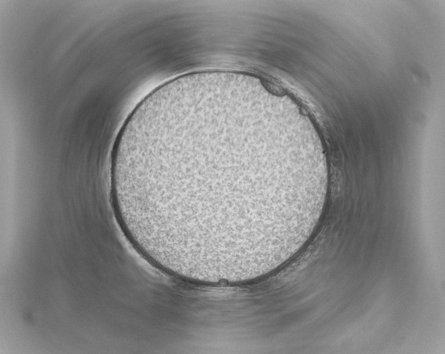 X0000115401479200912011154