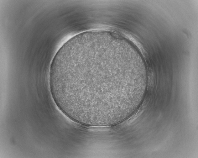 X0000115401487200912011154