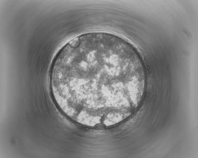 X0000115401517200912011154