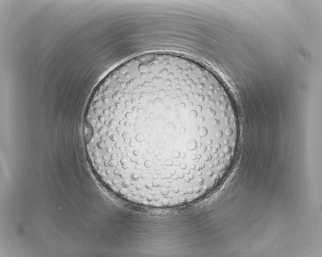 X0000115401521200912011154