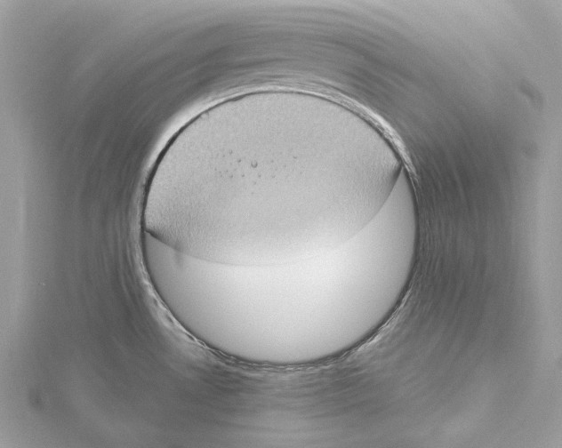 X0000115401530200912011154