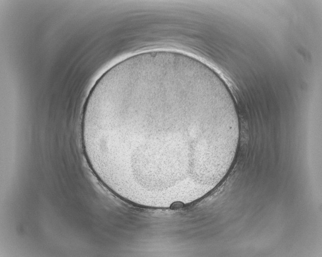 X0000115401534200912011154