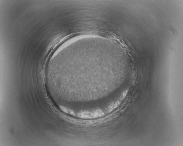 X0000115400002200912151530