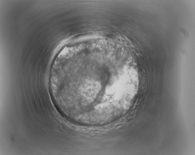 X0000115400003200912151530