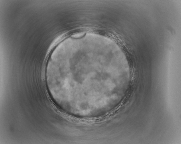 X0000115400004200912151530