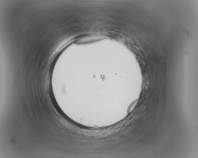 X0000115400005200912151530