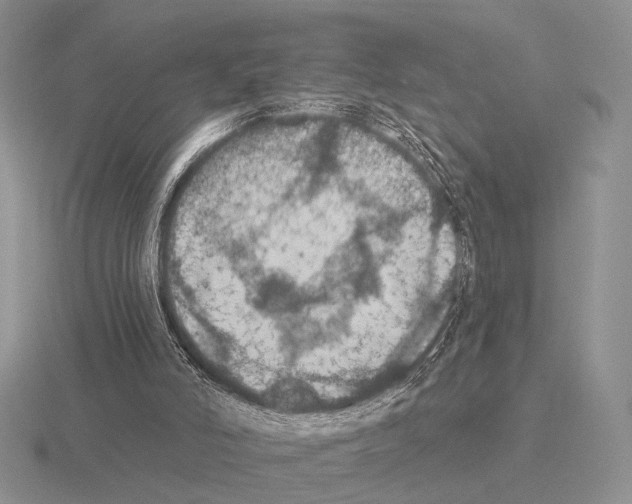 X0000115400006200912151530