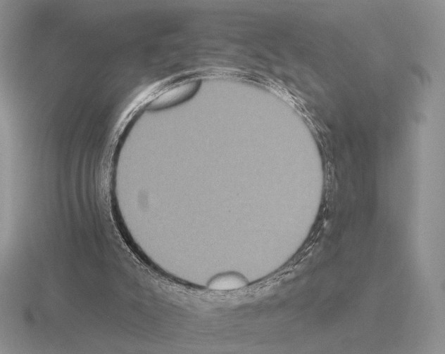 X0000115400007200912151530