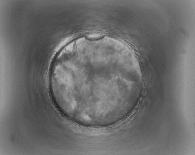 X0000115400008200912151530