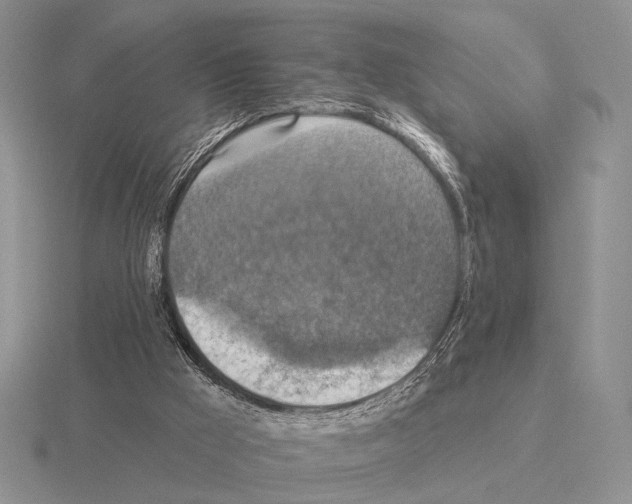 X0000115400009200912151530