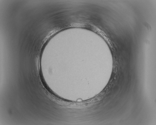 X0000115400011200912151530