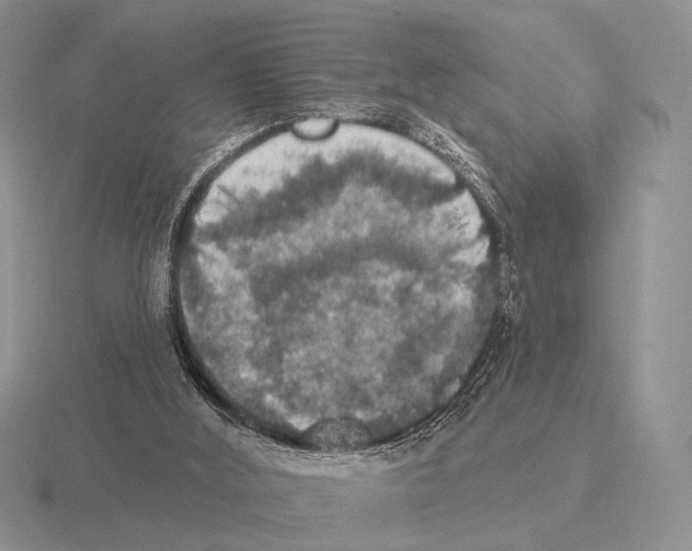 X0000115400012200912151530