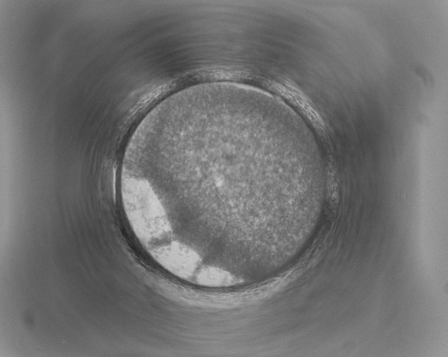 X0000115400014200912151530