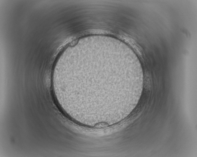 X0000115400015200912151530