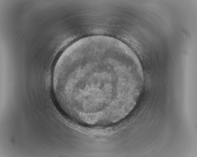 X0000115400016200912151530