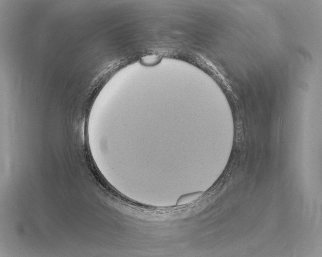 X0000115400019200912151530