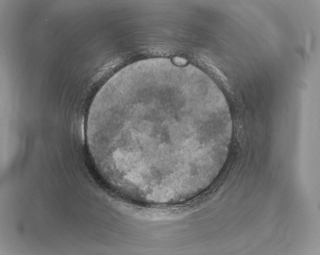 X0000115400020200912151530