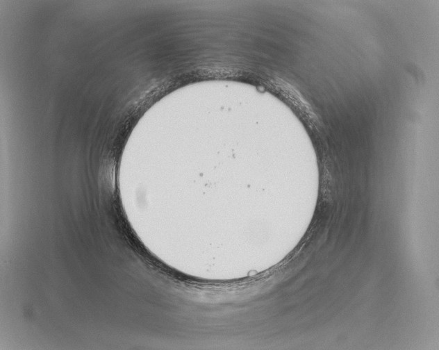 X0000115400021200912151530