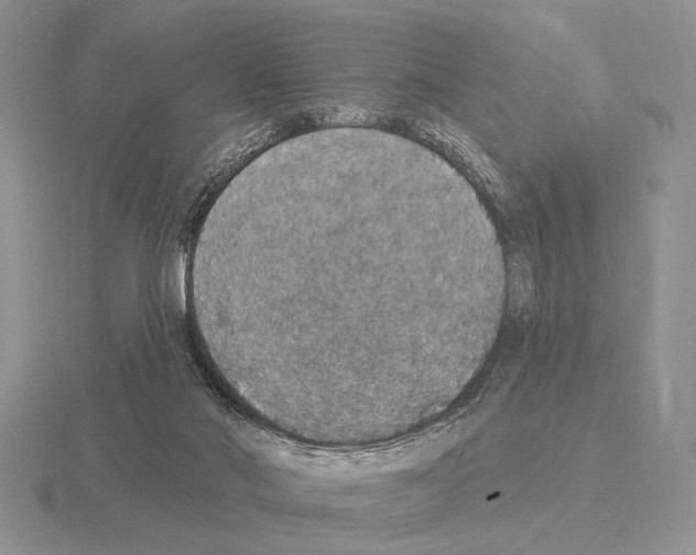 X0000115400022200912151529