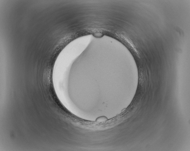 X0000115400023200912151529