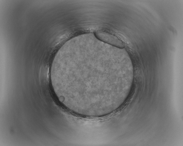 X0000115400024200912151529