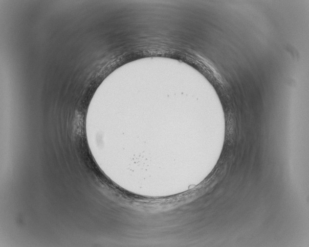 X0000115400025200912151529