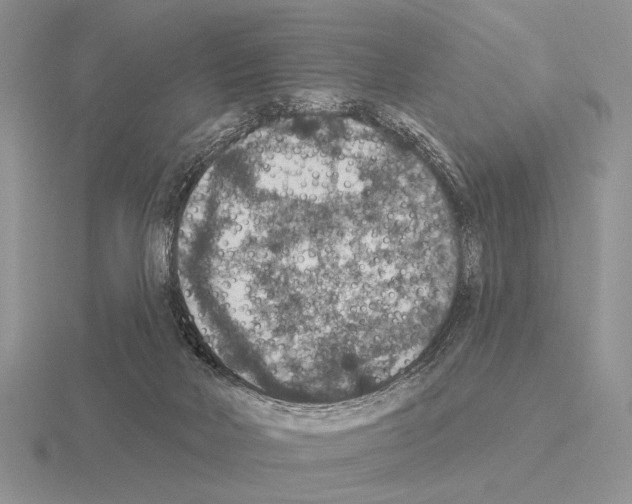 X0000115400026200912151529