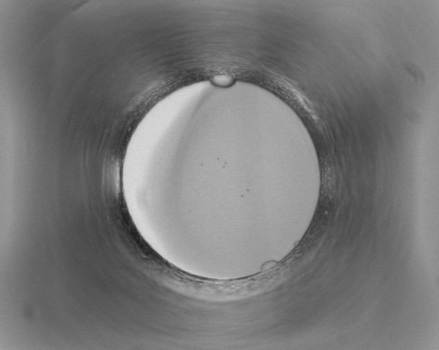 X0000115400027200912151529