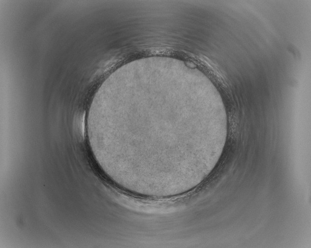 X0000115400028200912151529