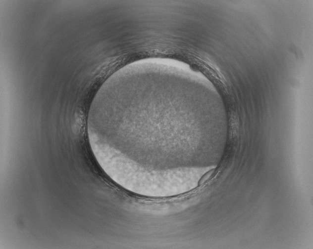 X0000115400029200912151529