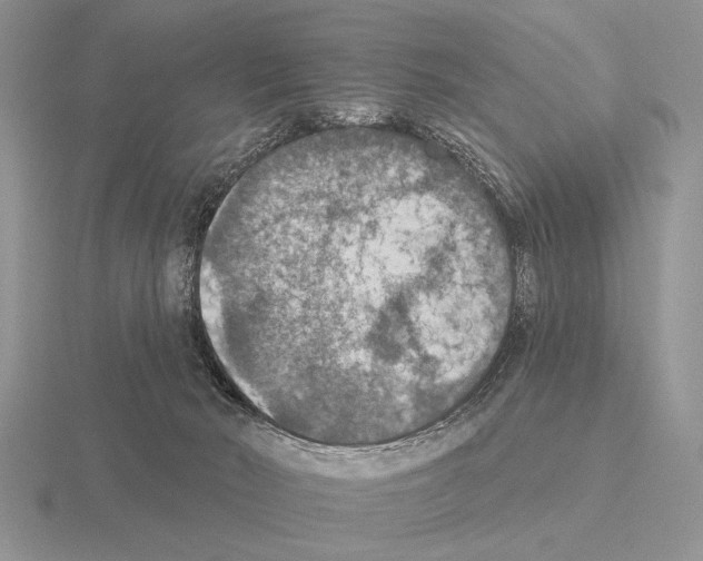 X0000115400030200912151529