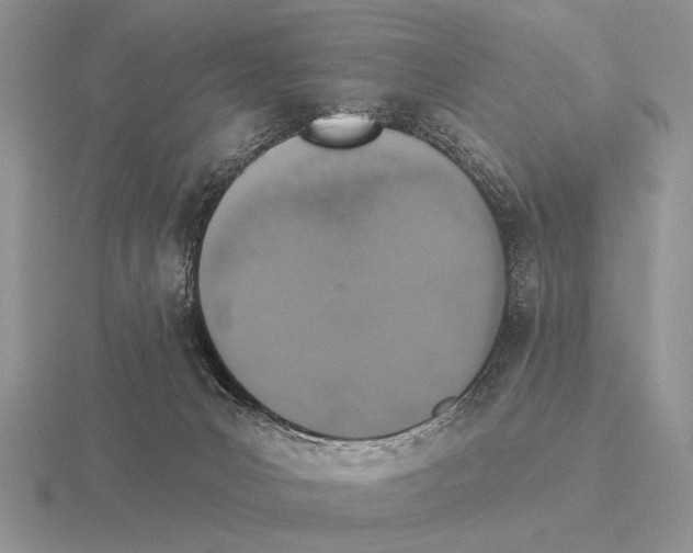 X0000115400031200912151529