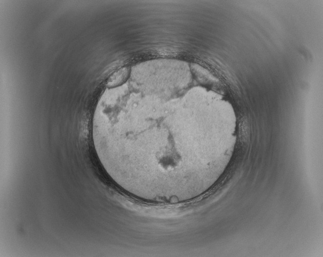 X0000115400032200912151529