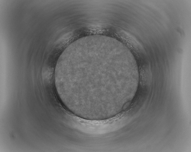 X0000115400034200912151529