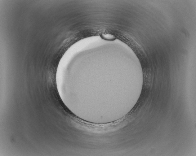 X0000115400035200912151529