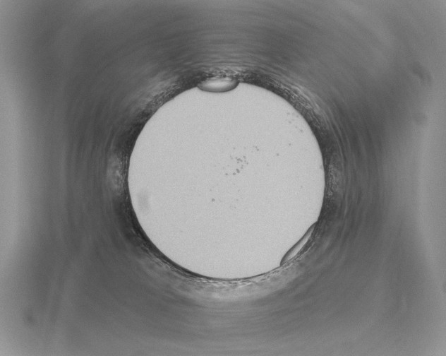 X0000115400037200912151529