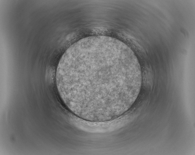 X0000115400038200912151529