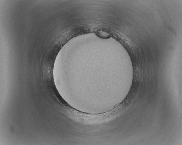 X0000115400039200912151529