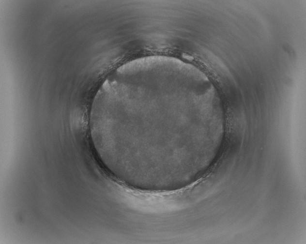 X0000115400040200912151529