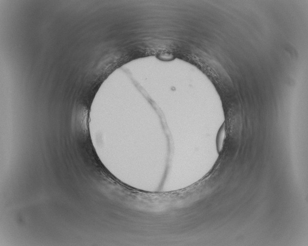 X0000115400041200912151529