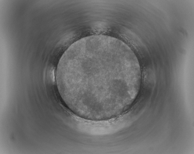 X0000115400042200912151529