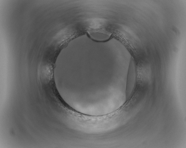 X0000115400043200912151529