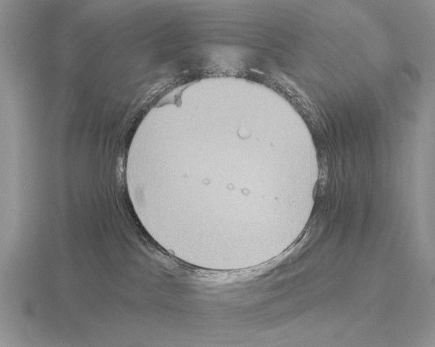 X0000115400045200912151529