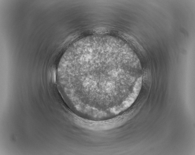 X0000115400046200912151529