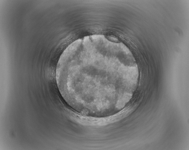 X0000115400048200912151529