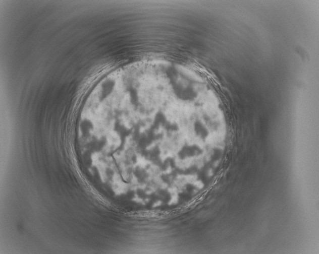 X0000115400049200912151528