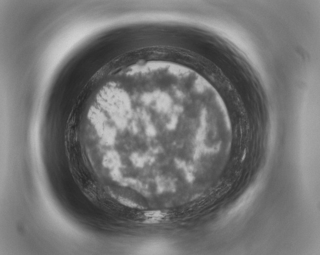 X0000115400050200912151528