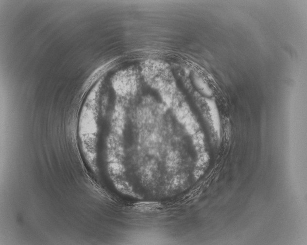 X0000115400051200912151528