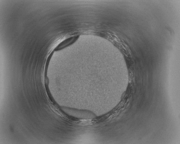 X0000115400052200912151528